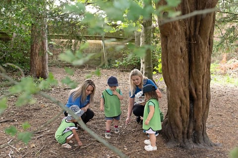 A woman and two kids explore the woods, surrounded by trees and nature