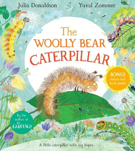 202204-the-woolly-bear-caterpillar-by-julia-donaldson