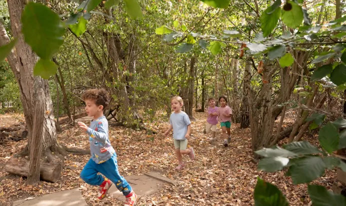 Children running in woodlands at The Kiddi Caru Day Nursery Preschool Writtle