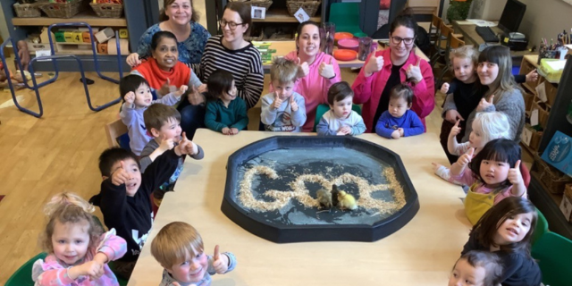 Dicky Birds Nursery on Dundonald Road Awarded Good Ofsted Rating