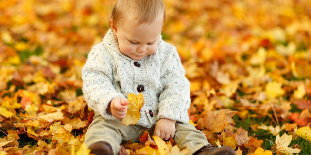 Easy Autumn Activities For Children
