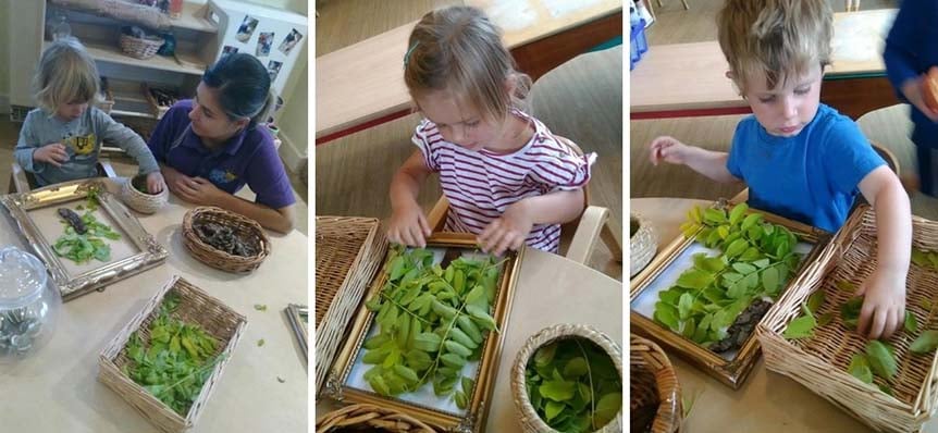 Kiddi Caru Market Harborough Create Natural Artwork