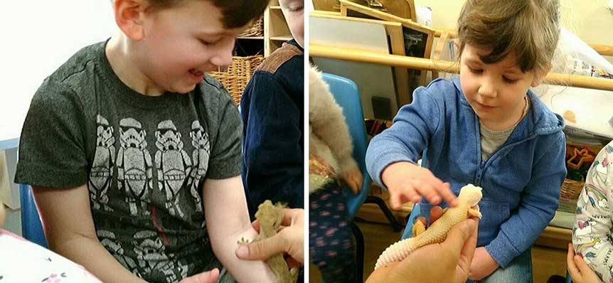 Kiddi Caru Rushden Receive a ZooLab Visit