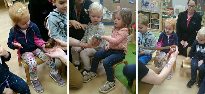Whitwick Receive A Visit From ZooLab
